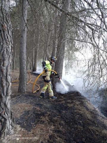 Servicios de emergencia intervienen en la extinción de varios conatos de incendio en Pliego